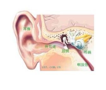 中耳炎的危害可引起颅内感染?