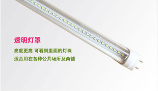 T8新LED光管 防潮光管 节能LED光管 环保LED光管 高亮度LED光管