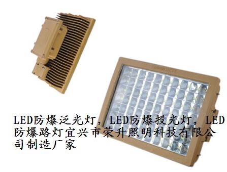  石化装置区专用BAD808-L2 LED防爆路灯
