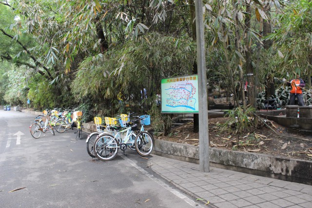 单车出租,广州森林公园