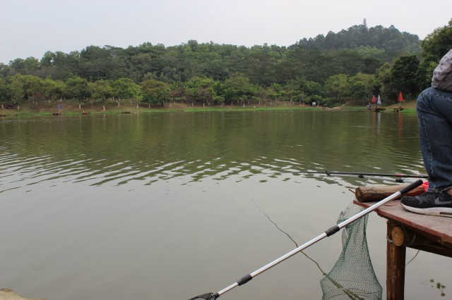钓鱼,广州大夫山公园