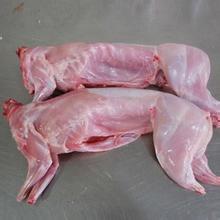 上海鑫福长期批发冷冻兔肉 整兔 兔内 兔前腿 兔后腿 兔里脊  老母鸡 无骨鸡爪
