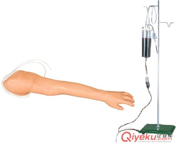 全功能完整静脉穿刺及注射训练手臂模型，ZH/S39全功能静脉穿刺及注射训练手臂模型
