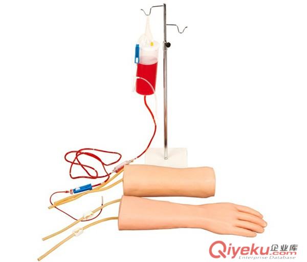 中弘科教手部肘部组合式静脉输液训练模型