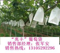 山东省莱阳市造纸厂生产gd水果套袋，果袋