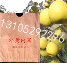 苹果套袋，苹果袋，苹果果袋山东省莱阳市造纸厂