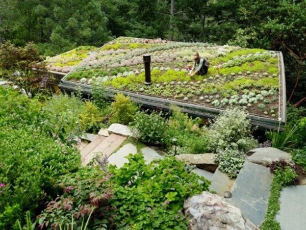 重庆屋顶花园，重庆屋顶防水，重庆花园设计，别墅花园设计