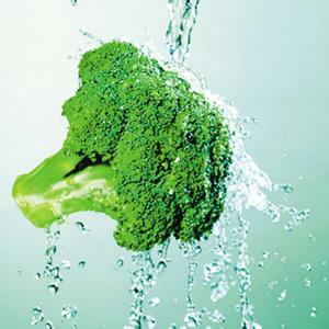 西兰花籽提取物(萝卜硫素  Broccoli extract   长沙上禾生物  萝卜硫素 萝卜硫甙0.6-98%
