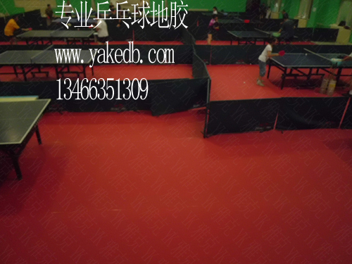 乒乓球室内专用地胶；专业乒乓球地板；脚尖上的乒乓球地胶；活动室地胶