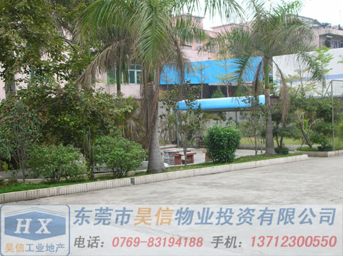 zyjl的-东莞企石厂房出售-企石厂房转让-9500平方米