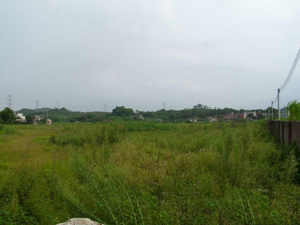 东莞望牛墩有一块60亩工业土地/地皮紧急出售