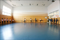 pvc舞蹈专用地板