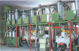 供应中科集团环保6FGL系列玉米加工机械