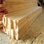 上海清关木材清关需要的成本/木材进口清关柜要哪些资料