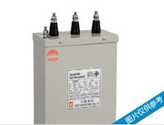 西泰 BSMJ0.45-30-3  电容器