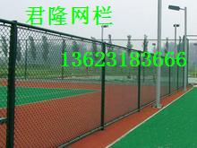 潍坊运动场围网---济南学校护栏网