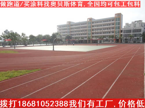 供应广东400米塑胶跑道厂家|潮州塑胶跑道施工工艺|塑胶跑道每平方报价
