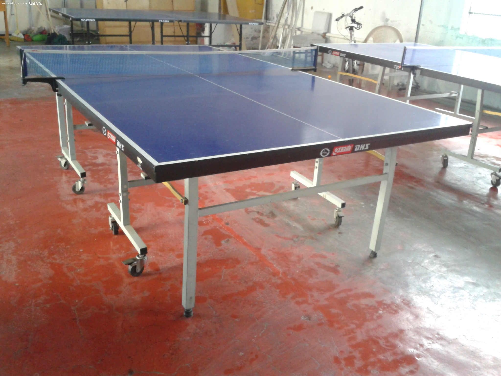201乒乓球台-东莞乒乓球台-双鱼501乒乓球台厂