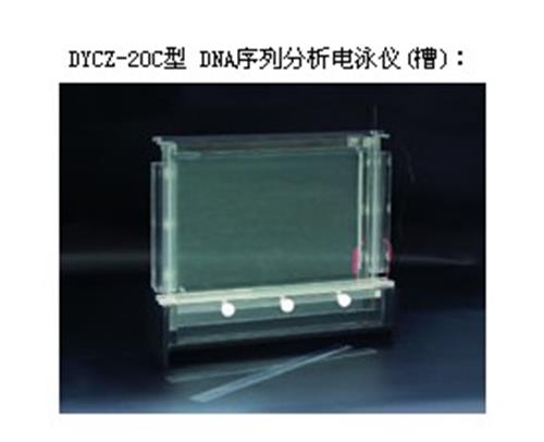 广州{dj2}代理DYCZ-20C型DNA序列分析电泳仪(槽)