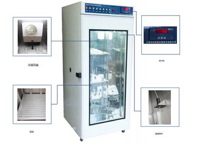 层析实验冷柜ZX-CXG-250/ZX-CXG-800广州总代理