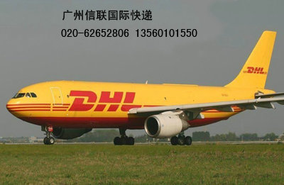 广州越秀区DHL快递免费上门收件 020-62652806