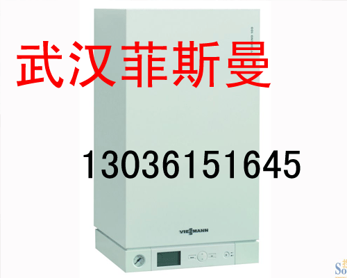 武汉菲斯曼WH1D24KW,武汉原装进口菲斯曼