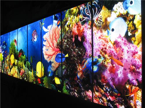 LED超级幕墙灯-海底世界梦幻系列