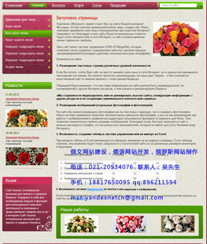 上海专业俄罗斯网站建设，俄文网站设计及开发
