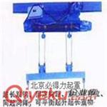 双钩起重电葫芦 适用于提升体积长一机两钩的电动葫芦北京巨献