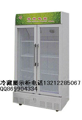 天津对开门冷藏展示柜、豪华双门饮料柜、天津冷藏展示柜多少钱保鲜柜