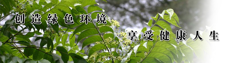 广州绿化苗木销售商