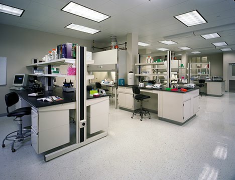 生物实验室,广东实验室整体规划
