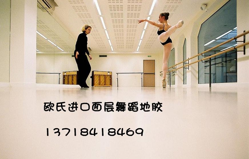 北京舞蹈地胶价格