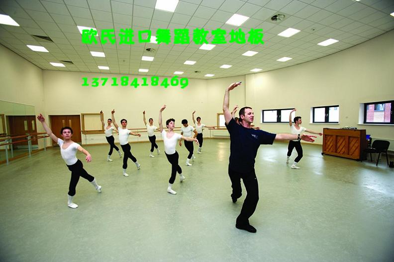 艺术培训中心专用舞蹈地板