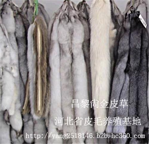 长期供应貉子，蓝狐，银狐，雪狐，彩狐皮等生皮及熟皮水版