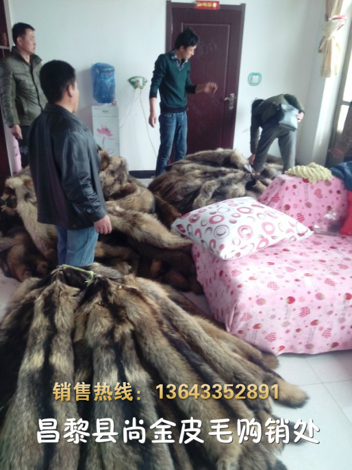 河北省狐貉貂大型特种皮毛养殖基地