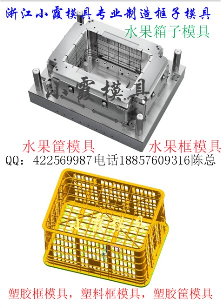 蓝莓框模具  菠萝框模具  浙江黄岩北城塑料模具