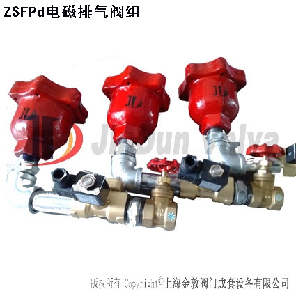 ZSFPD25 电磁排气阀组,电磁排气阀组