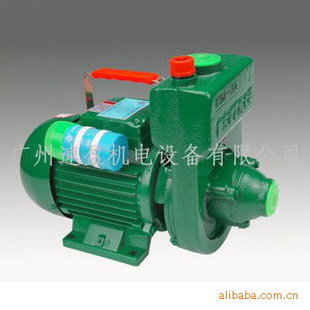 广东凌霄水泵1.5ZDK20家用清水自吸泵，1.5寸自吸泵