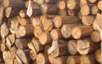 红木木材干燥技术和方法