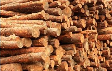 鉴别木材质量有哪几个主要指标？