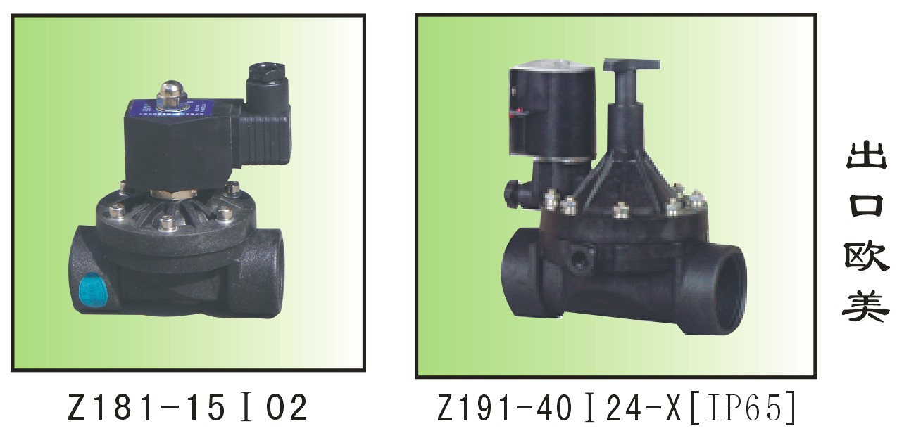 Z181-A-Z191-先导膜片式塑料电磁阀