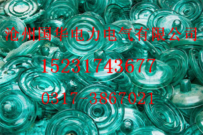 玻璃钢绝缘子FC160/155技术参数原始图片2