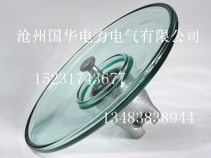 玻璃钢绝缘子FC160/155技术参数原始图片3