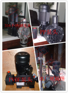 深圳计量泵 KDV-54L MS1C138A 普罗名特计量泵