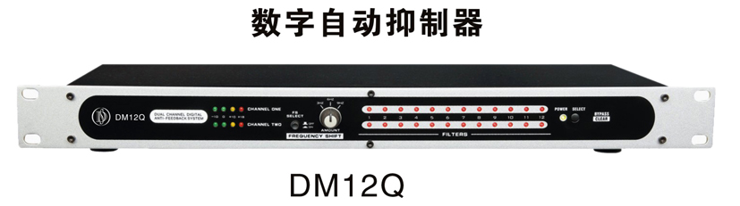 DM12Q