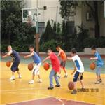 广州篮球培训班