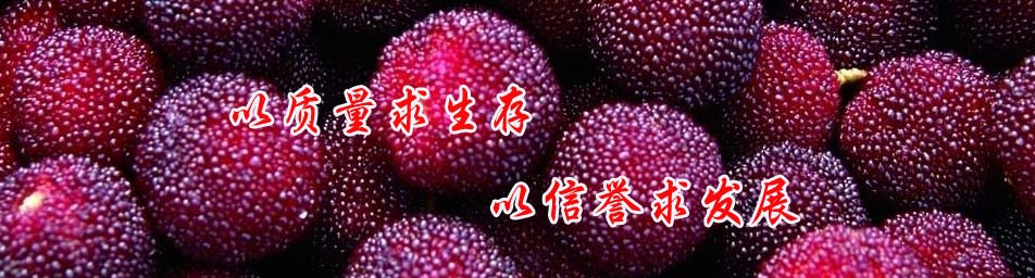 昆明红果园食品有限公司