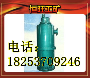 BQS15-22电泵，2.2kw防爆电泵,潜水泵 