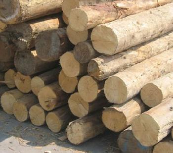 木材进口报关要多长时间